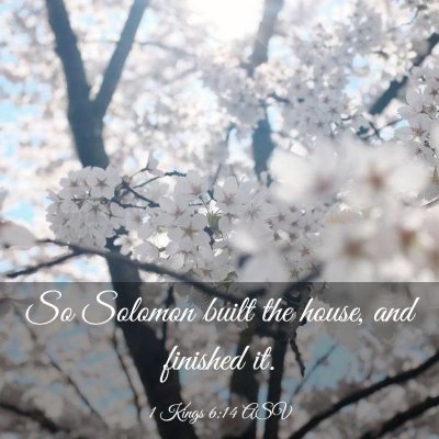 Picture 03 - 1 Kings 6:14 ASV - So Solomon built the house, and finished - Bible Verse Picture