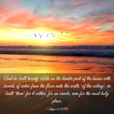 Picture 03 - 1 Kings 6:16 ASV - And he built twenty cubits on the hinder part of - Bible Verse Picture