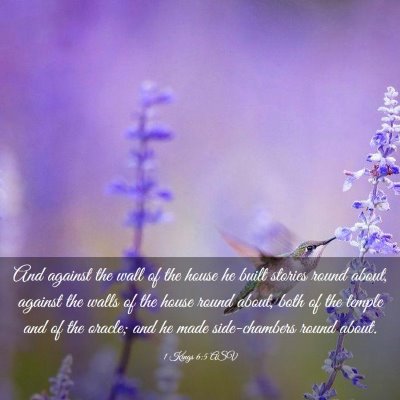 Picture 03 - 1 Kings 6:5 ASV - And against the wall of the house he built - Bible Verse Picture