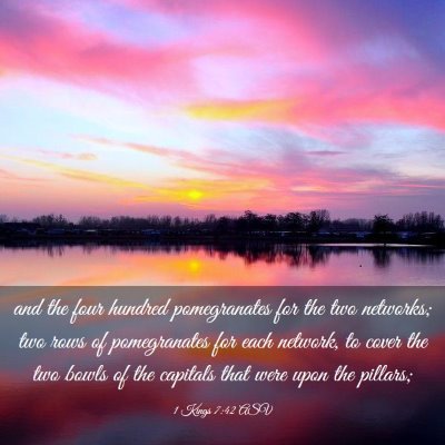 Picture 03 - 1 Kings 7:42 ASV - and the four hundred pomegranates for the two - Bible Verse Picture