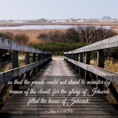 Picture 03 - 1 Kings 8:11 ASV - so that the priests could not stand to minister - Bible Verse Picture