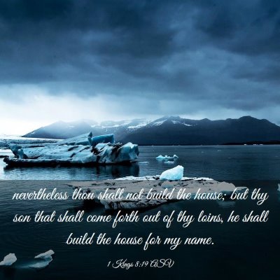 Picture 03 - 1 Kings 8:19 ASV - nevertheless thou shalt not build the house; but - Bible Verse Picture