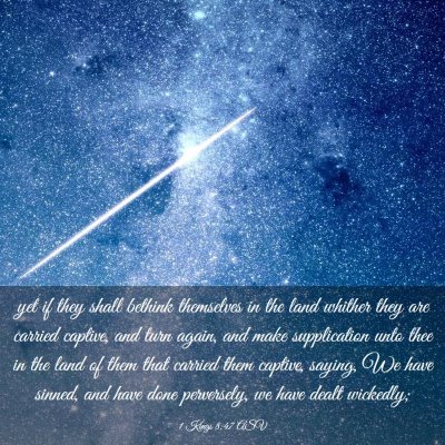 Picture 03 - 1 Kings 8:47 ASV - yet if they shall bethink themselves in the land - Bible Verse Picture