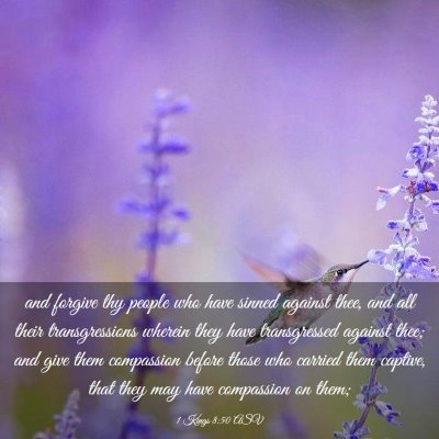 Picture 03 - 1 Kings 8:50 ASV - and forgive thy people who have sinned against - Bible Verse Picture