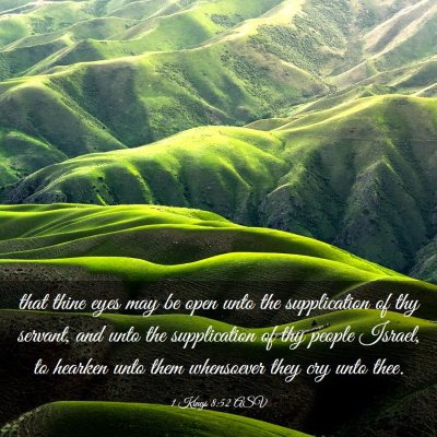 Picture 03 - 1 Kings 8:52 ASV - that thine eyes may be open unto the supplication - Bible Verse Picture