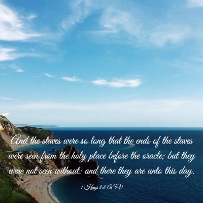 Picture 03 - 1 Kings 8:8 ASV - And the staves were so long that the ends of the - Bible Verse Picture