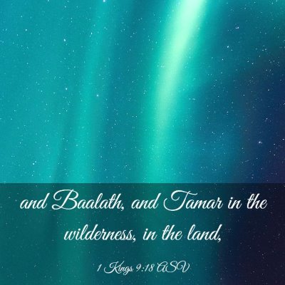 Picture 03 - 1 Kings 9:18 ASV - and Baalath, and Tamar in the wilderness, in the - Bible Verse Picture