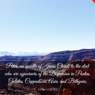 Picture 03 - 1 Peter 1:1 ASV - Peter, an apostle of Jesus Christ, to the elect - Bible Verse Picture
