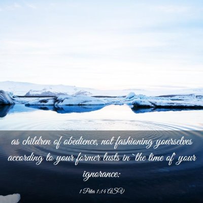 Picture 03 - 1 Peter 1:14 ASV - as children of obedience, not fashioning - Bible Verse Picture