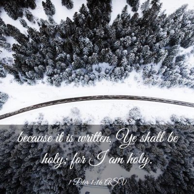Picture 03 - 1 Peter 1:16 ASV - because it is written, Ye shall be holy; for I am - Bible Verse Picture