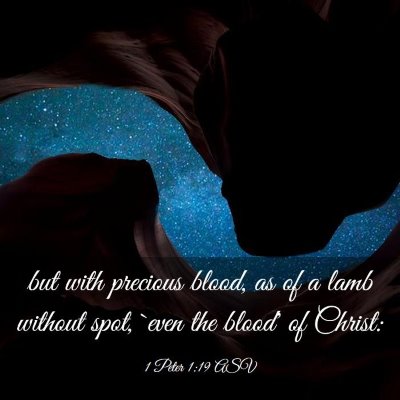 Picture 03 - 1 Peter 1:19 ASV - but with precious blood, as of a lamb without - Bible Verse Picture