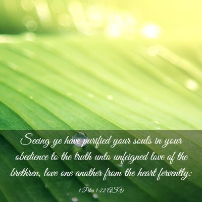 Picture 03 - 1 Peter 1:22 ASV - Seeing ye have purified your souls in your - Bible Verse Picture