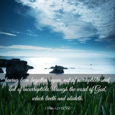 Picture 03 - 1 Peter 1:23 ASV - having been begotten again, not of corruptible - Bible Verse Picture
