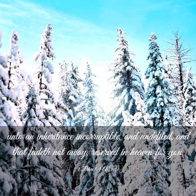 Picture 03 - 1 Peter 1:4 ASV - unto an inheritance incorruptible, and undefiled, - Bible Verse Picture