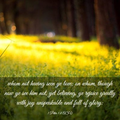 Picture 03 - 1 Peter 1:8 ASV - whom not having seen ye love; on whom, though now - Bible Verse Picture