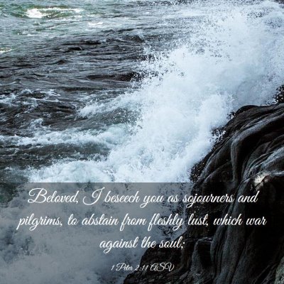 Picture 03 - 1 Peter 2:11 ASV - Beloved, I beseech you as sojourners and - Bible Verse Picture