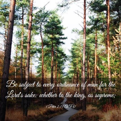 Picture 03 - 1 Peter 2:13 ASV - Be subject to every ordinance of man for the - Bible Verse Picture