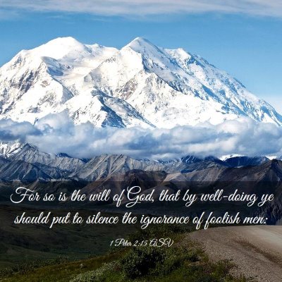 Picture 03 - 1 Peter 2:15 ASV - For so is the will of God, that by well-doing ye - Bible Verse Picture