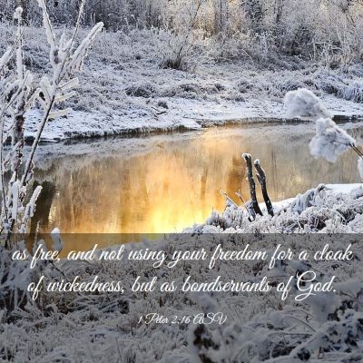 Picture 03 - 1 Peter 2:16 ASV - as free, and not using your freedom for a cloak - Bible Verse Picture