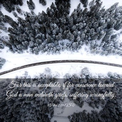 Picture 03 - 1 Peter 2:19 ASV - For this is acceptable, if for conscience toward - Bible Verse Picture