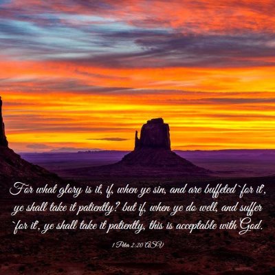 Picture 03 - 1 Peter 2:20 ASV - For what glory is it, if, when ye sin, and are - Bible Verse Picture
