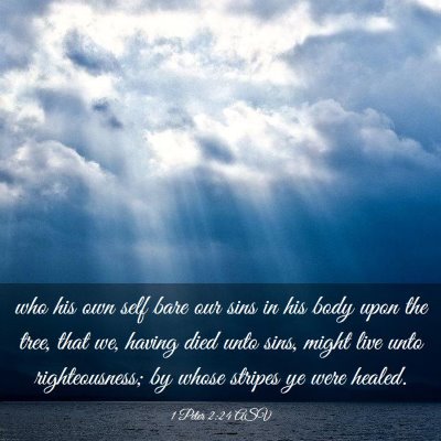 Picture 03 - 1 Peter 2:24 ASV - who his own self bare our sins in his body upon - Bible Verse Picture
