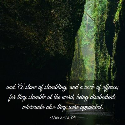 Picture 03 - 1 Peter 2:8 ASV - and, A stone of stumbling, and a rock of offence; - Bible Verse Picture