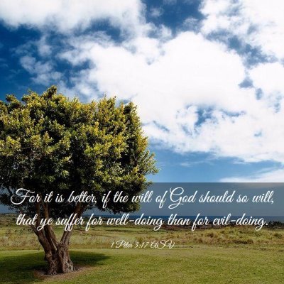 Picture 03 - 1 Peter 3:17 ASV - For it is better, if the will of God should so - Bible Verse Picture