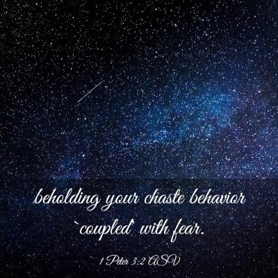 Picture 03 - 1 Peter 3:2 ASV - beholding your chaste behavior `coupled' with - Bible Verse Picture