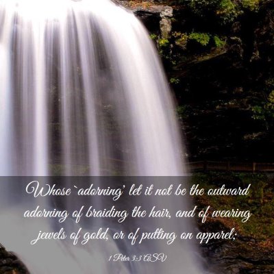 Picture 03 - 1 Peter 3:3 ASV - Whose `adorning' let it not be the outward - Bible Verse Picture