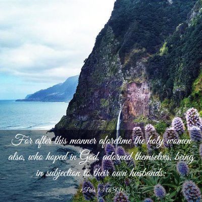 Picture 03 - 1 Peter 3:5 ASV - For after this manner aforetime the holy women - Bible Verse Picture
