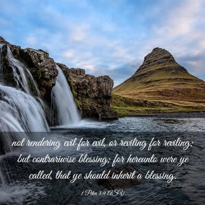 Picture 03 - 1 Peter 3:9 ASV - not rendering evil for evil, or reviling for - Bible Verse Picture
