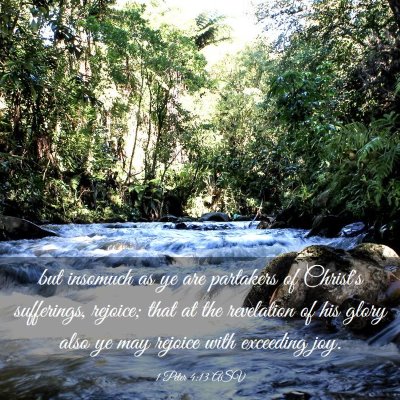 Picture 03 - 1 Peter 4:13 ASV - but insomuch as ye are partakers of Christ's - Bible Verse Picture