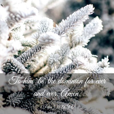 Picture 03 - 1 Peter 5:11 ASV - To him `be' the dominion for ever and ever. - Bible Verse Picture