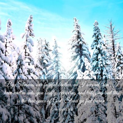 Picture 03 - 1 Peter 5:12 ASV - By Silvanus, our faithful brother, as I account - Bible Verse Picture