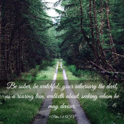 Picture 03 - 1 Peter 5:8 ASV - Be sober, be watchful: your adversary the devil, - Bible Verse Picture