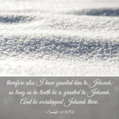 Picture 03 - 1 Samuel 1:28 ASV - therefore also I have granted him to Jehovah; as - Bible Verse Picture