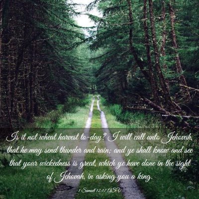 Picture 03 - 1 Samuel 12:17 ASV - Is it not wheat harvest to-day? I will call unto - Bible Verse Picture