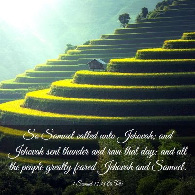 Picture 03 - 1 Samuel 12:18 ASV - So Samuel called unto Jehovah; and Jehovah sent - Bible Verse Picture