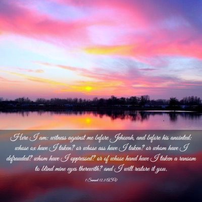 Picture 03 - 1 Samuel 12:3 ASV - Here I am: witness against me before Jehovah, and - Bible Verse Picture