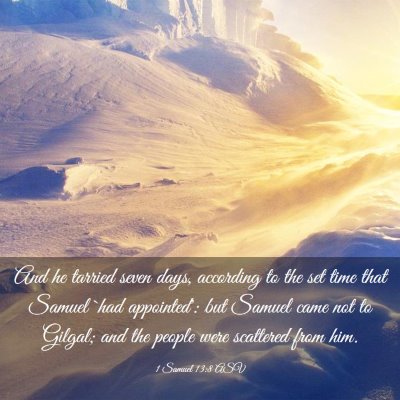 Picture 03 - 1 Samuel 13:8 ASV - And he tarried seven days, according to the set - Bible Verse Picture
