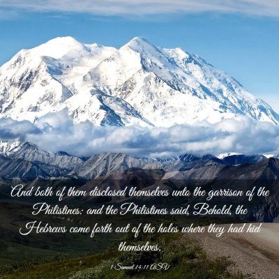 Picture 03 - 1 Samuel 14:11 ASV - And both of them disclosed themselves unto the - Bible Verse Picture