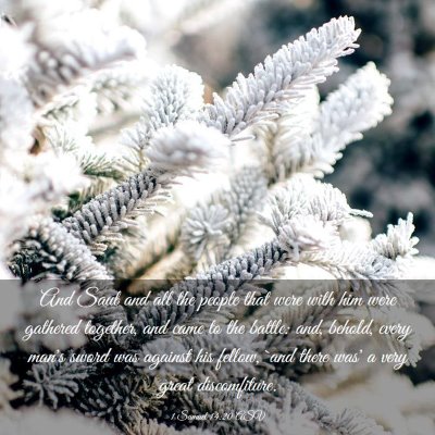 Picture 03 - 1 Samuel 14:20 ASV - And Saul and all the people that were with him - Bible Verse Picture