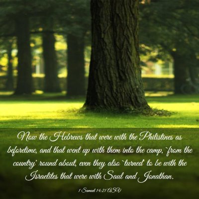 Picture 03 - 1 Samuel 14:21 ASV - Now the Hebrews that were with the Philistines as - Bible Verse Picture