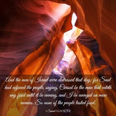 Picture 03 - 1 Samuel 14:24 ASV - And the men of Israel were distressed that day; - Bible Verse Picture