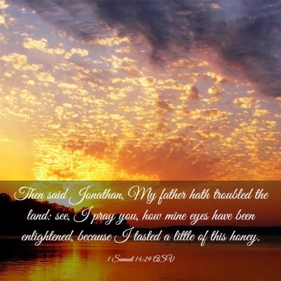 Picture 03 - 1 Samuel 14:29 ASV - Then said Jonathan, My father hath troubled the - Bible Verse Picture