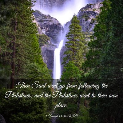 Picture 03 - 1 Samuel 14:46 ASV - Then Saul went up from following the Philistines; - Bible Verse Picture
