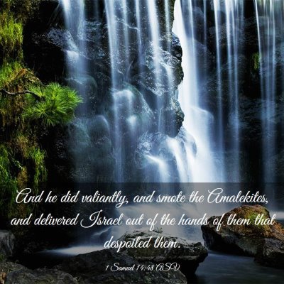 Picture 03 - 1 Samuel 14:48 ASV - And he did valiantly, and smote the Amalekites, - Bible Verse Picture