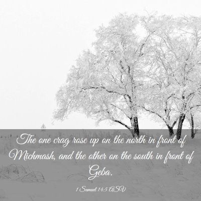 Picture 03 - 1 Samuel 14:5 ASV - The one crag rose up on the north in front of - Bible Verse Picture