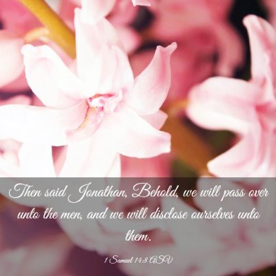 Picture 03 - 1 Samuel 14:8 ASV - Then said Jonathan, Behold, we will pass over - Bible Verse Picture
